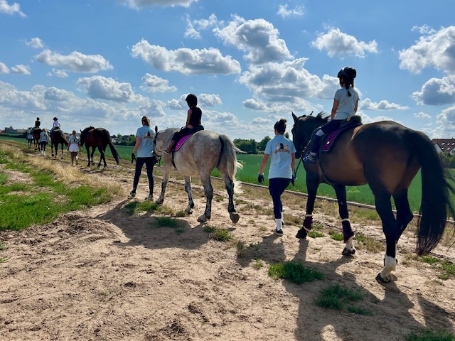 Ponybande-pfalz.de Spazieren Spass mit Ponys