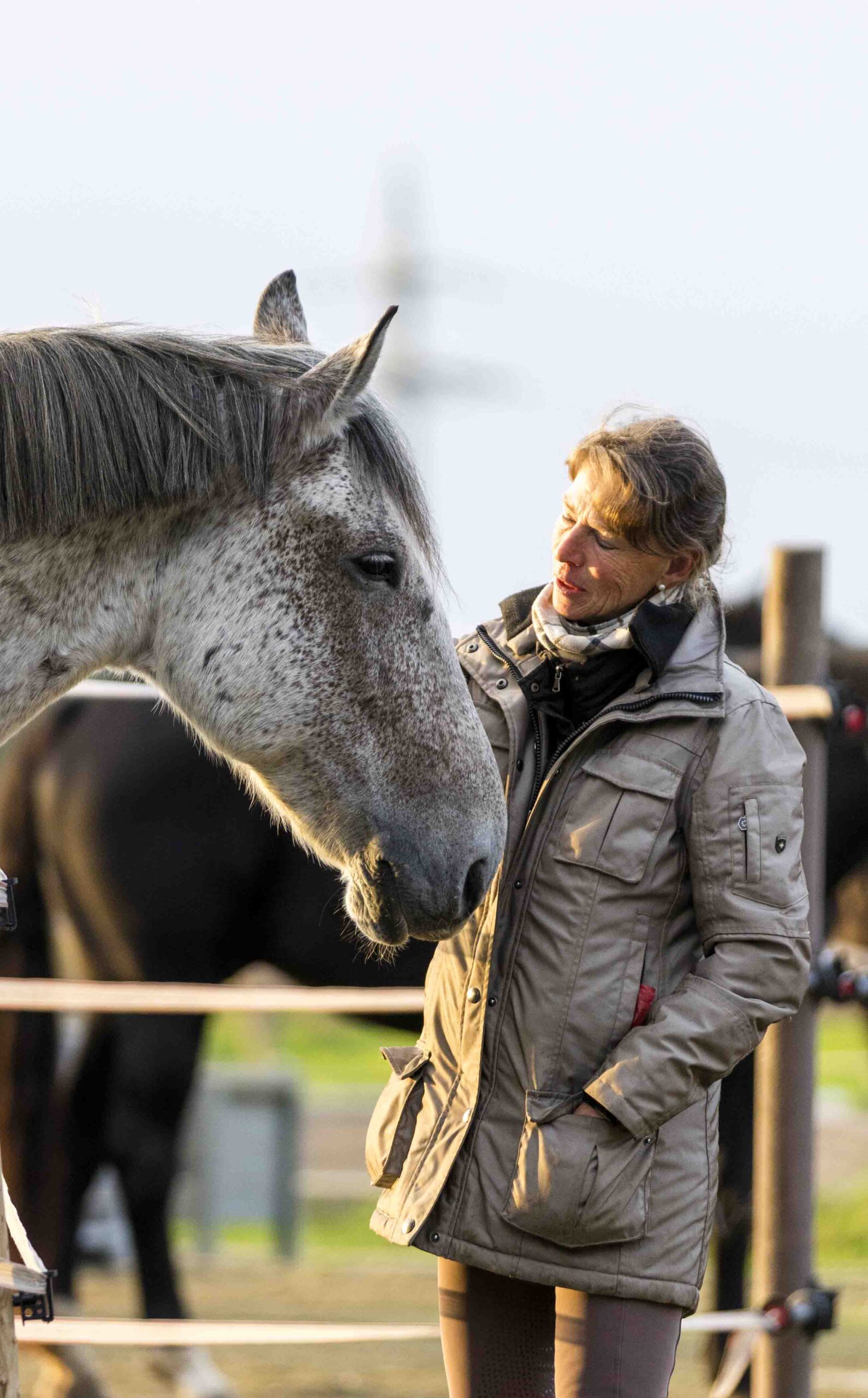 Ponybande Pfalz, birgit Schwinn