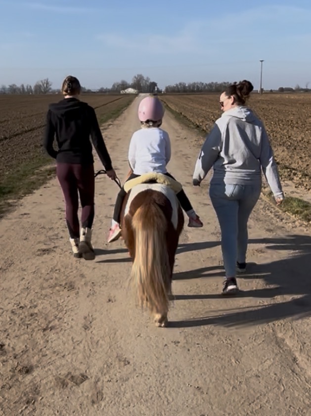 Ponybande-pfalz.de Spazieren Spass mit Ponys